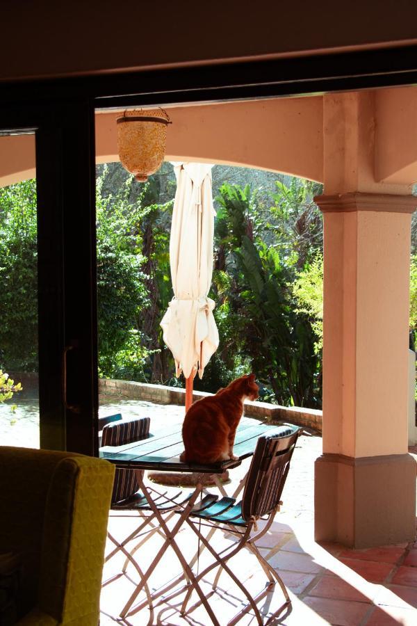 Southern Light Country House Ciudad del Cabo Exterior foto